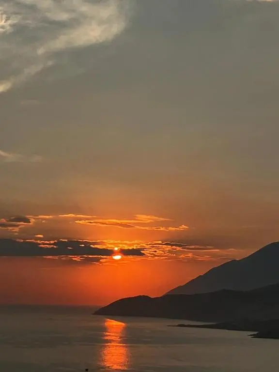 img_id_978224.webp