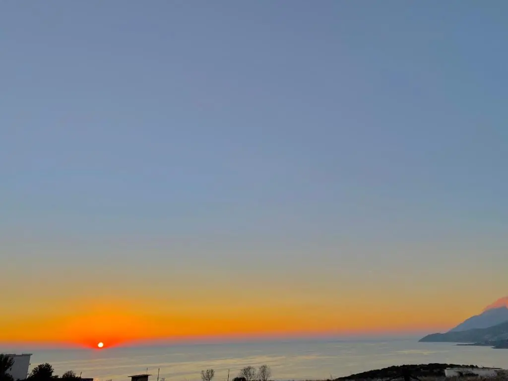 img_id_978277.webp