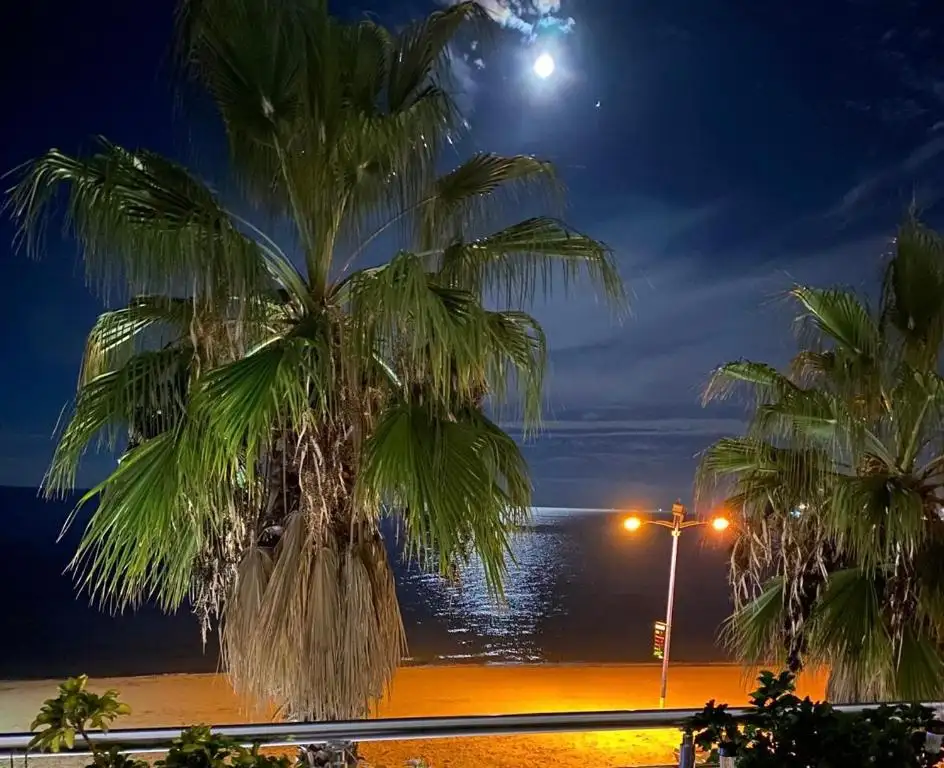 img_id_575672.webp
