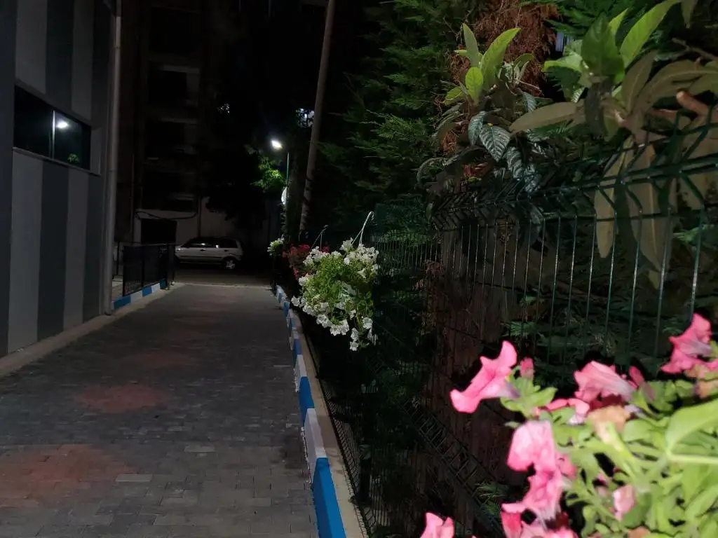 img_id_531832.webp