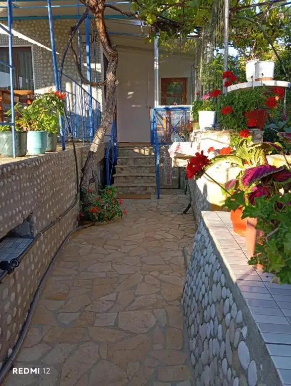 img_id_581034.webp