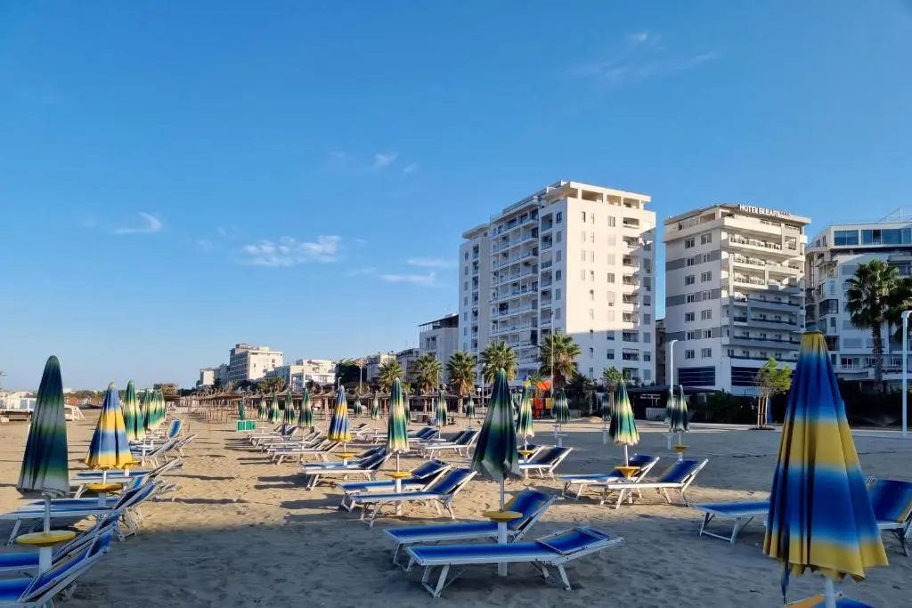 img_id_1716485.webp
