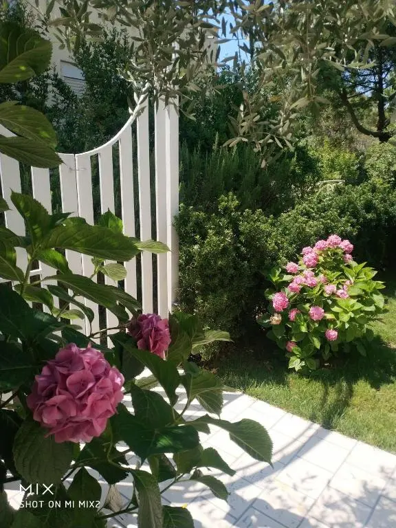 img_id_1670756.webp