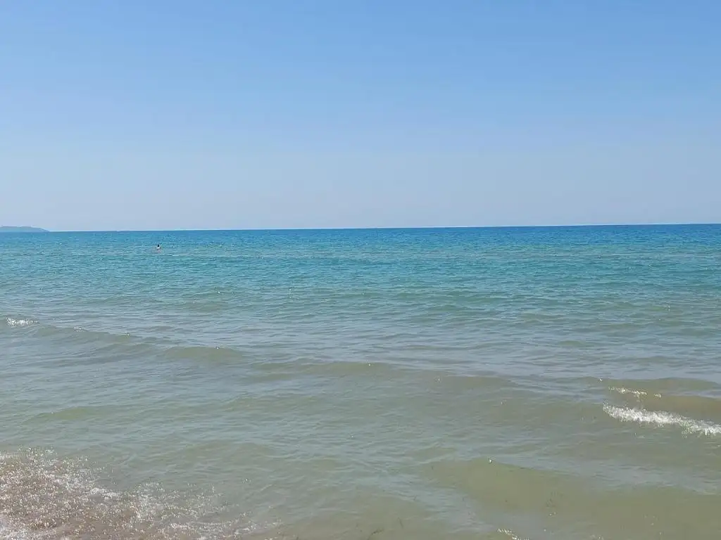 img_id_583637.webp