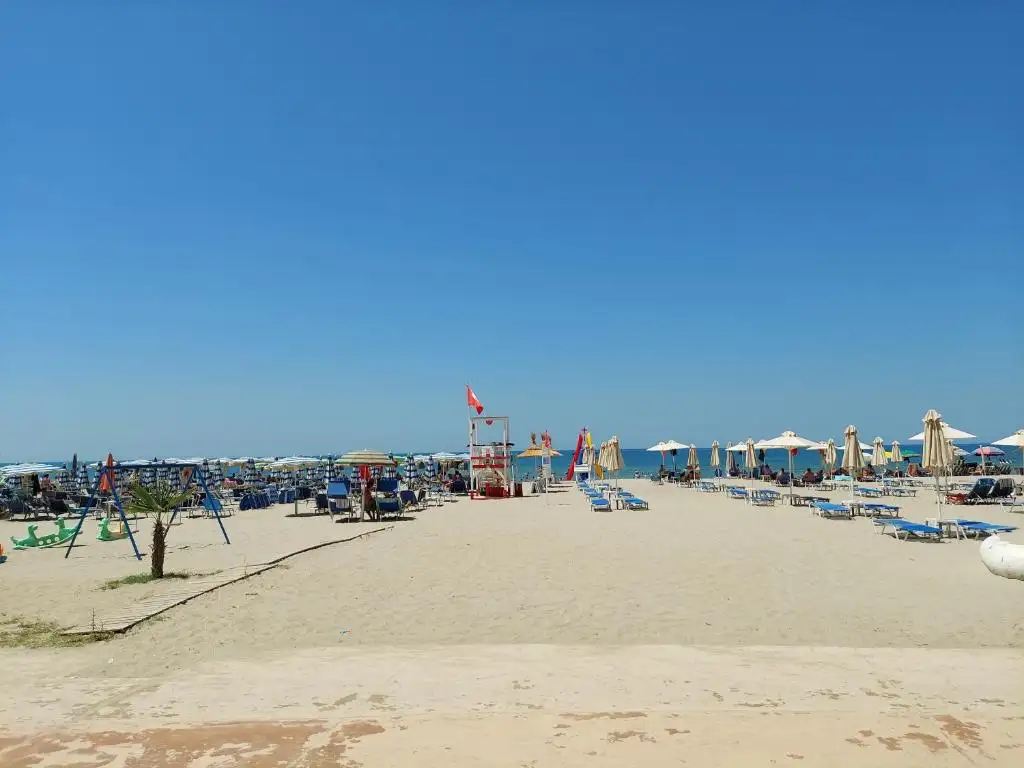 img_id_583649.webp