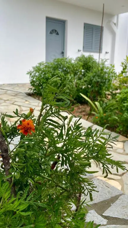 img_id_1647614.webp