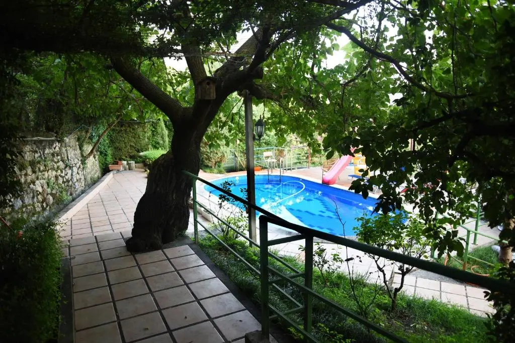 img_id_1020203.webp