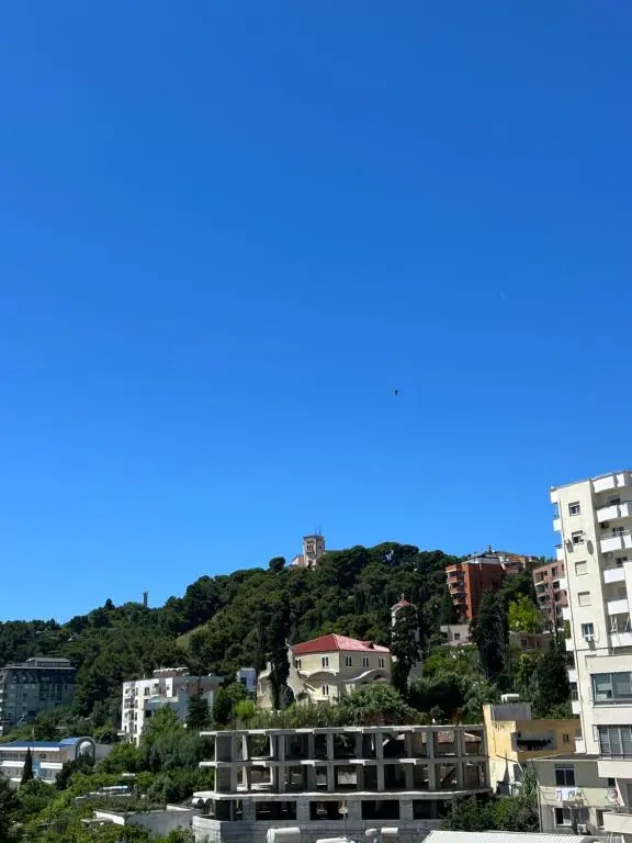 img_id_1707587.webp