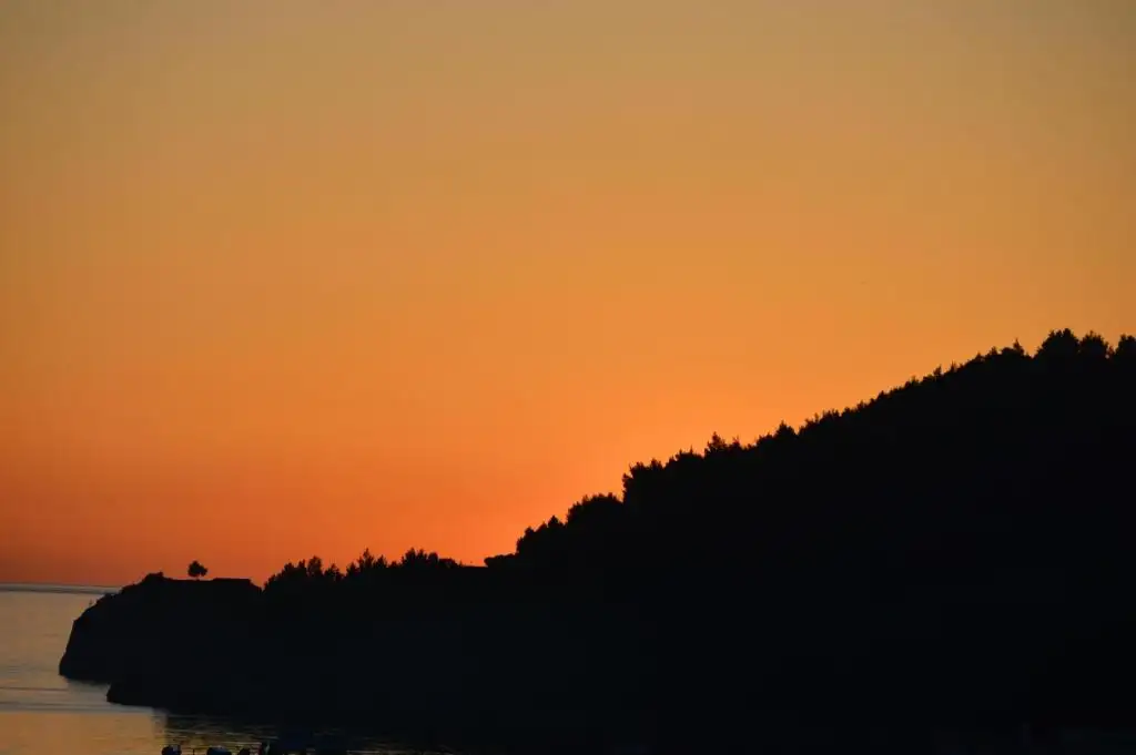 img_id_535230.webp