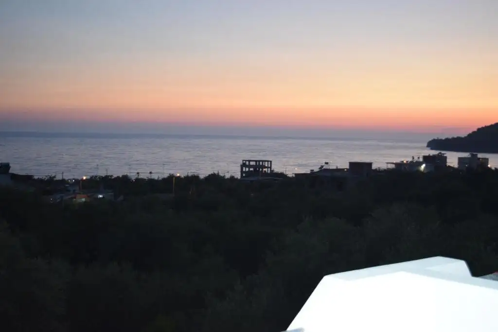 img_id_535237.webp