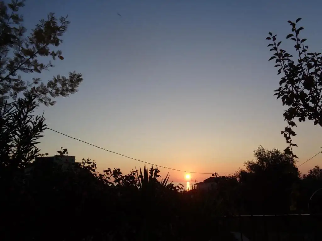 img_id_535280.webp