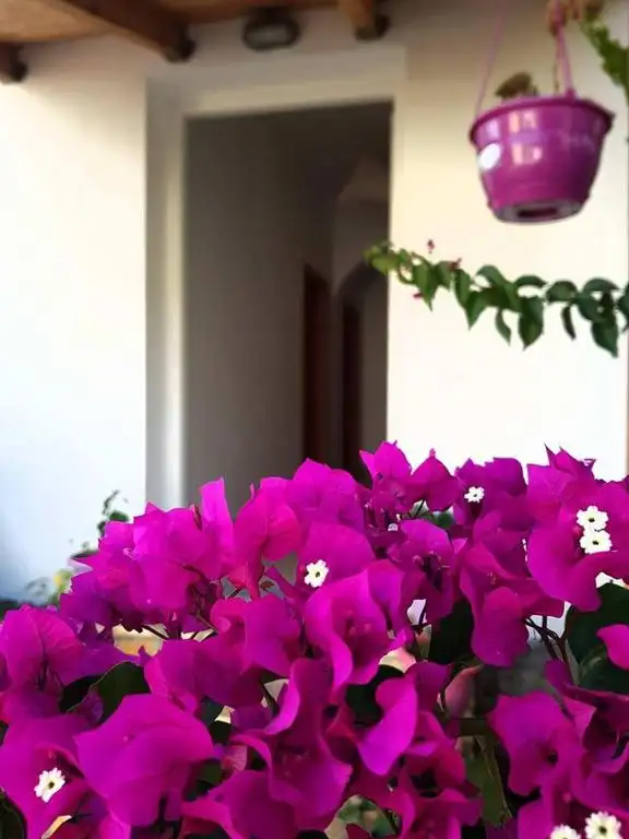 img_id_591565.webp