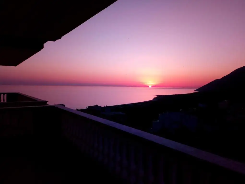 img_id_593506.webp