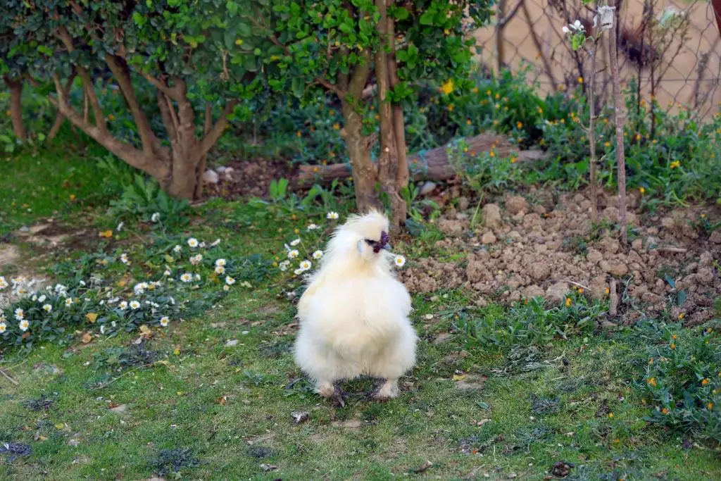 img_id_594164.webp