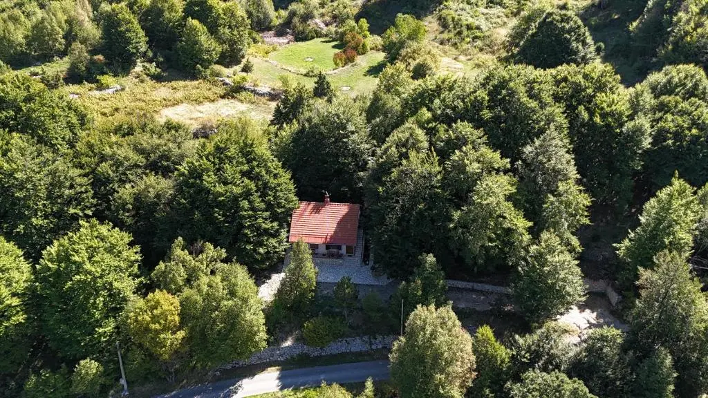 img_id_2438537.webp