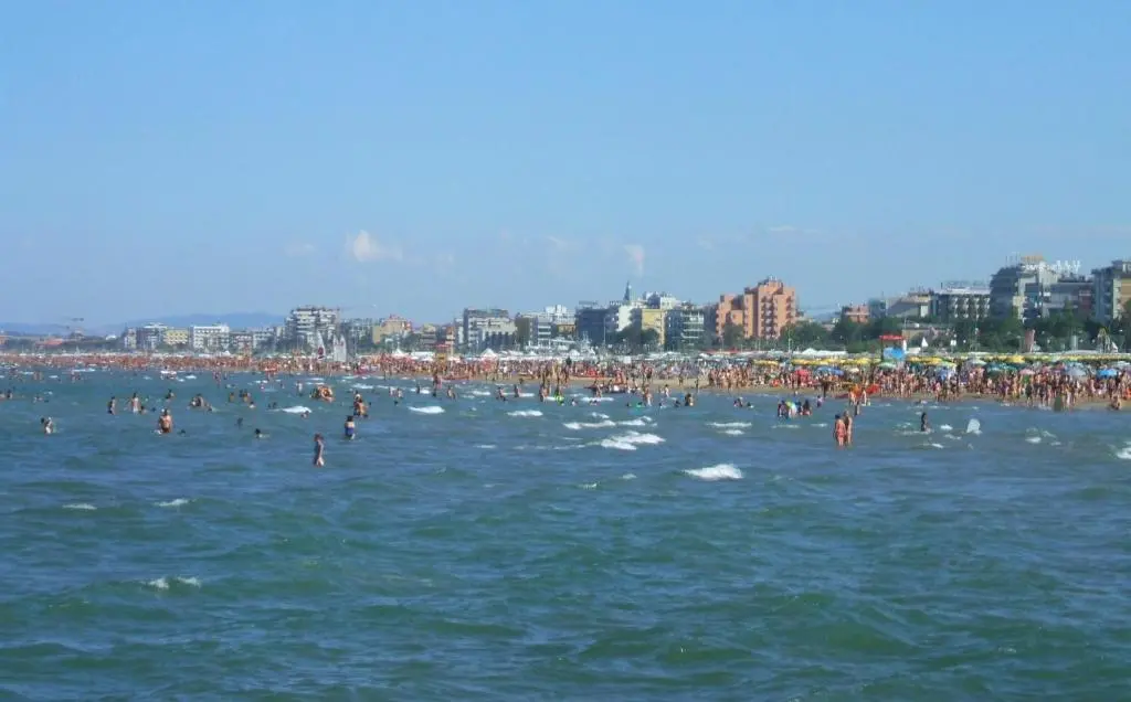 img_id_1396889.webp