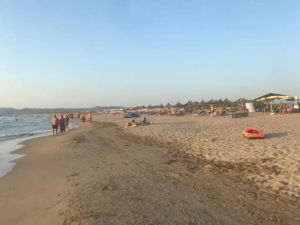 img_id_598755.webp