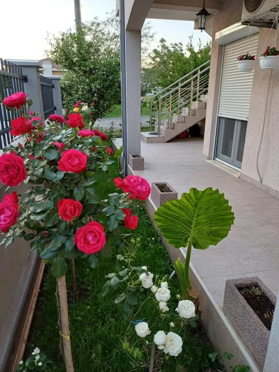 img_id_2437630.webp