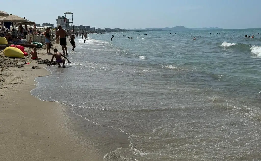 img_id_1336706.webp
