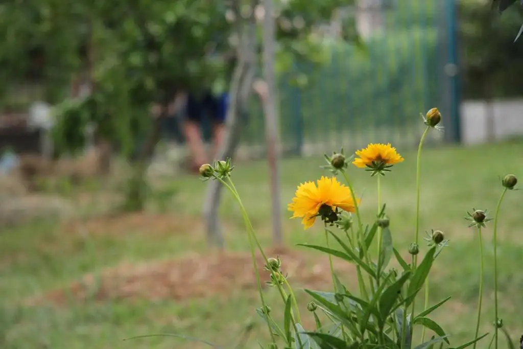 img_id_610969.webp