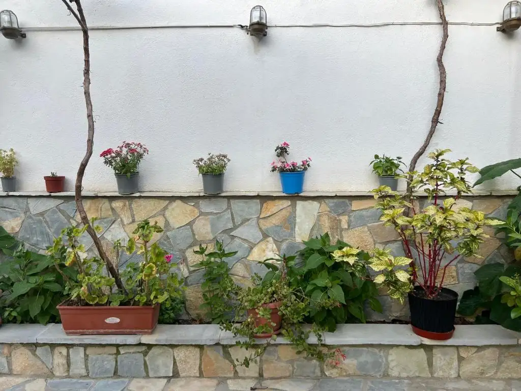 img_id_603352.webp