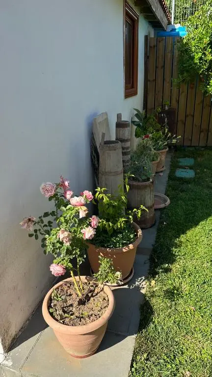 img_id_1675479.webp