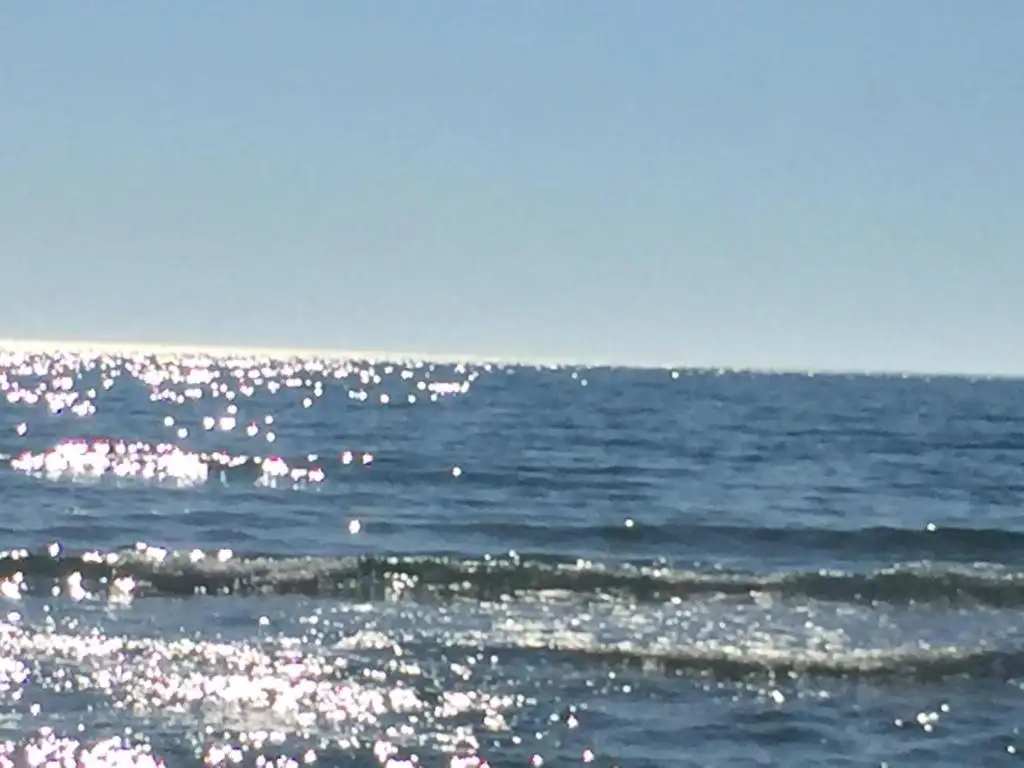 img_id_612421.webp
