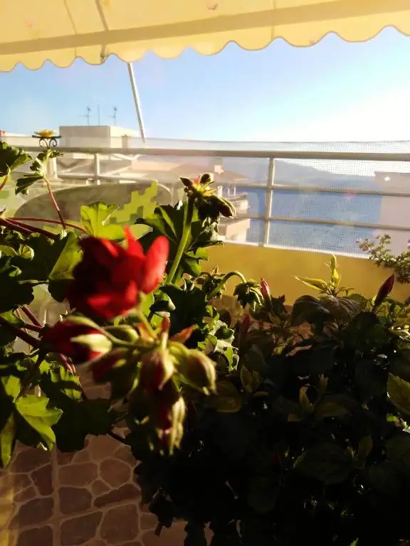 img_id_614765.webp