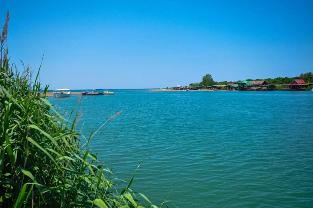 img_id_2435286.webp