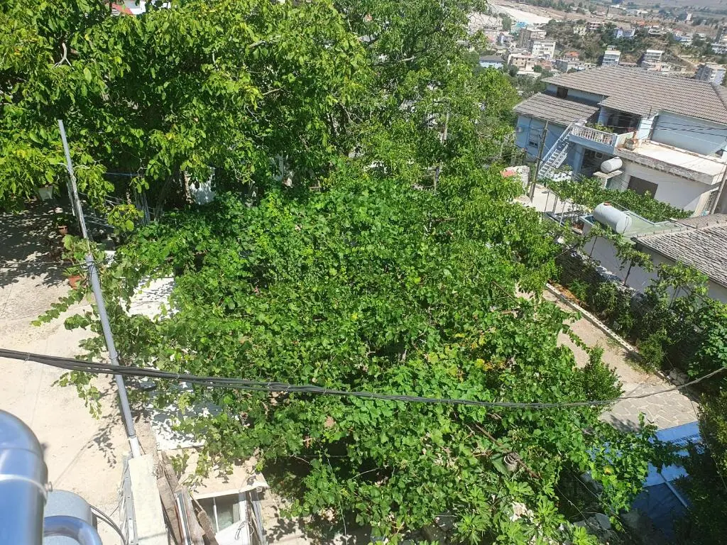 img_id_933497.webp