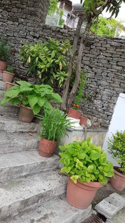 img_id_933503.webp