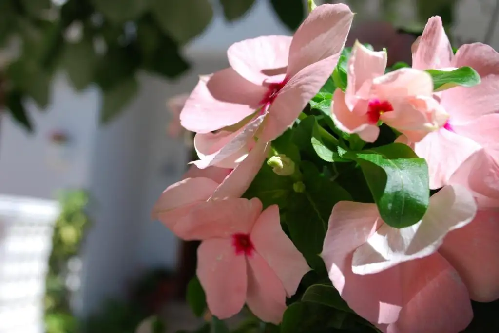 img_id_616053.webp