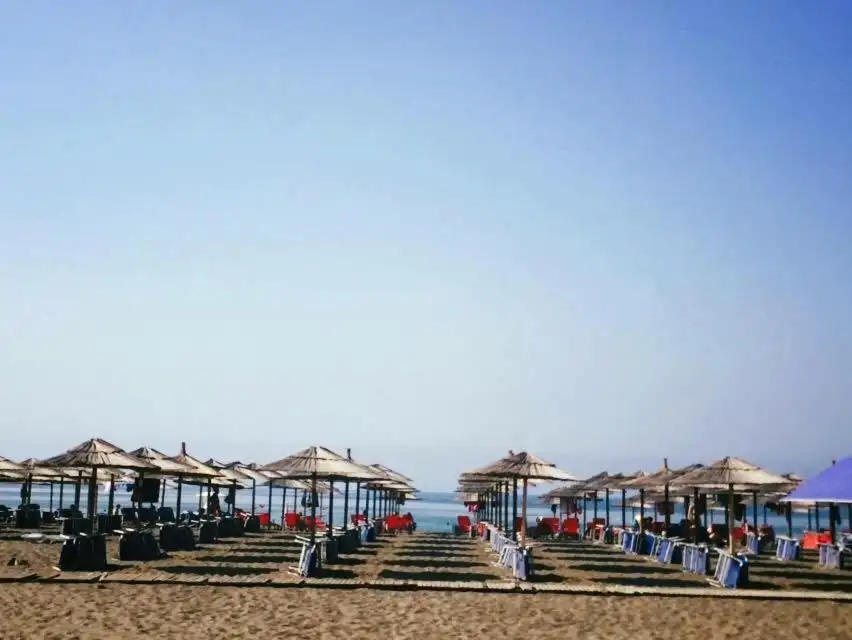 img_id_617040.webp