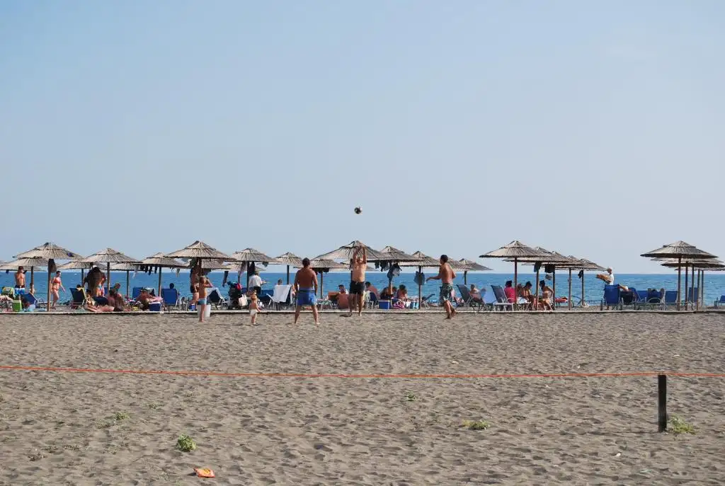 img_id_617124.webp