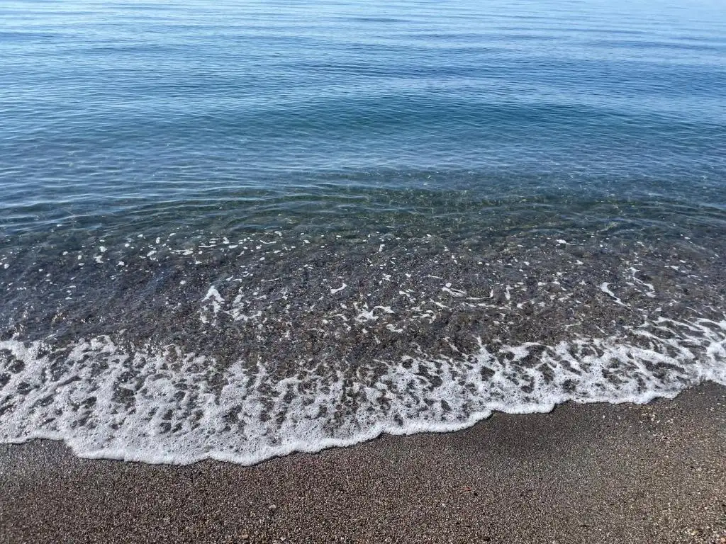 img_id_617135.webp