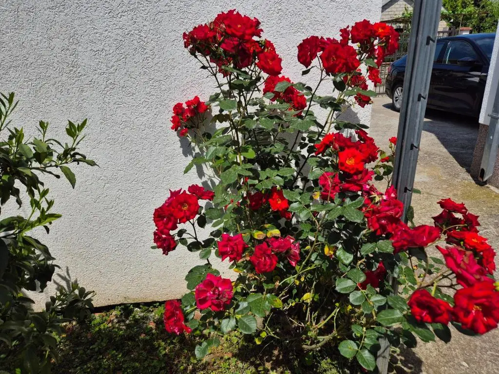 img_id_2434780.webp