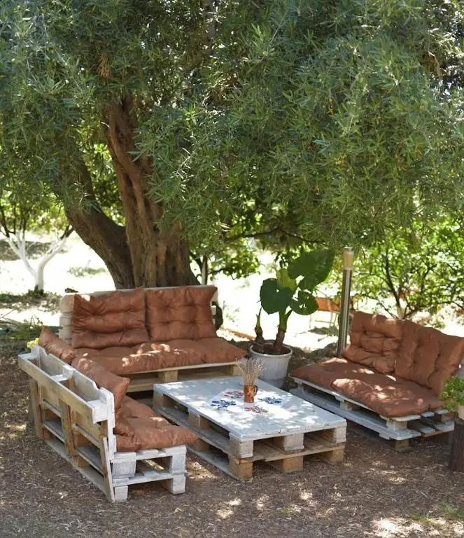 img_id_617947.webp