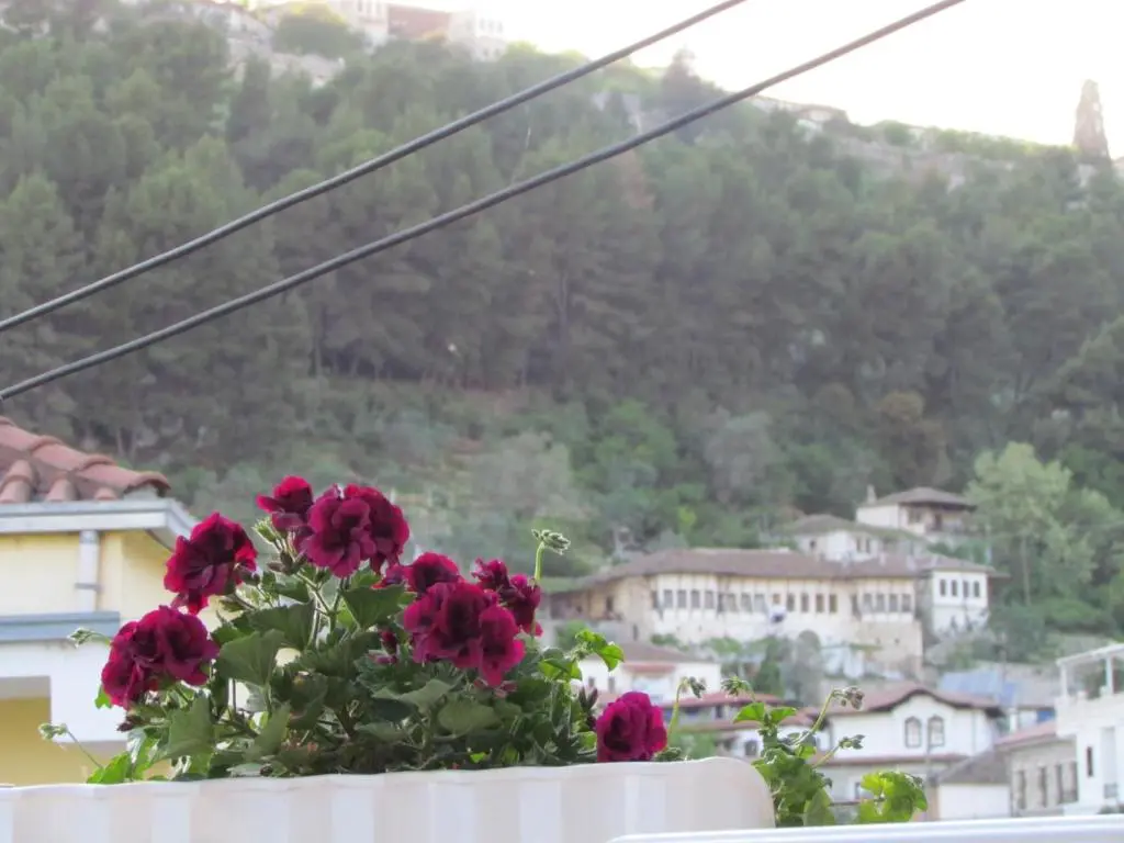 img_id_1073827.webp