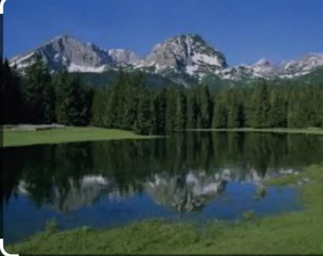 img_id_2433898.webp