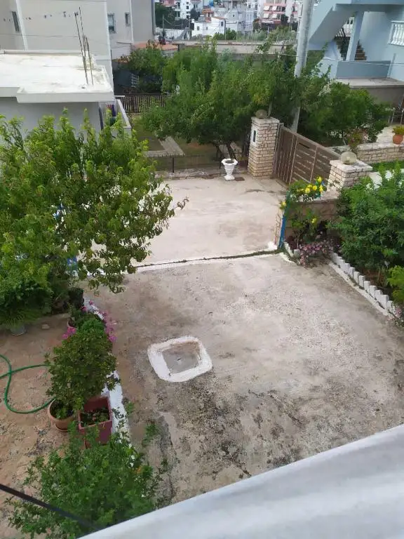 img_id_614162.webp
