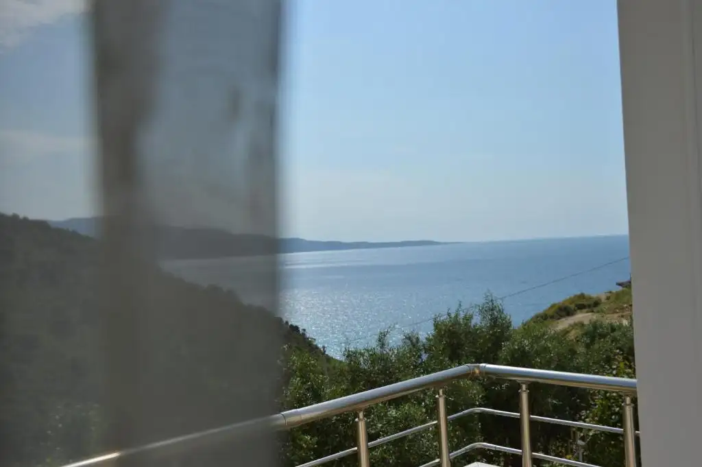img_id_616514.webp