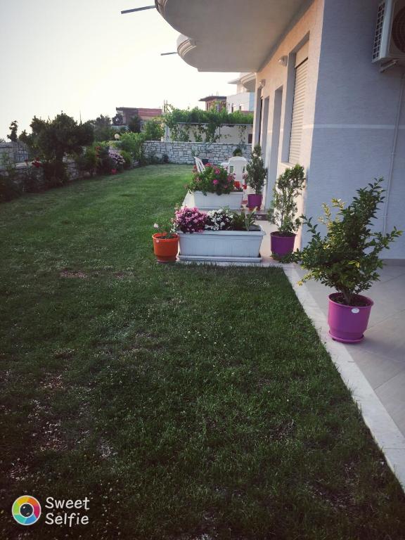 img_id_978004.jpg