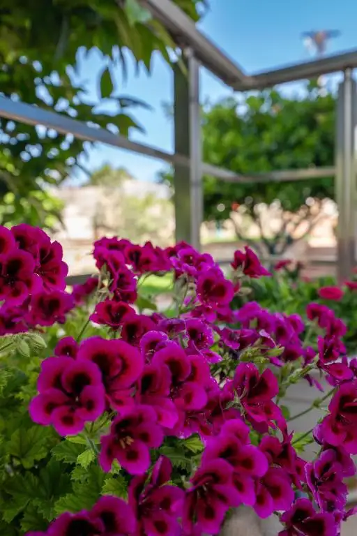 img_id_533602.webp