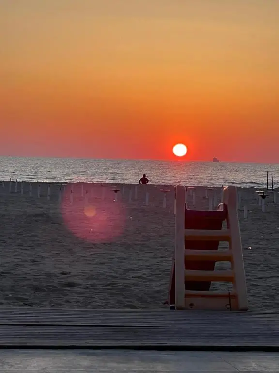 img_id_977431.webp