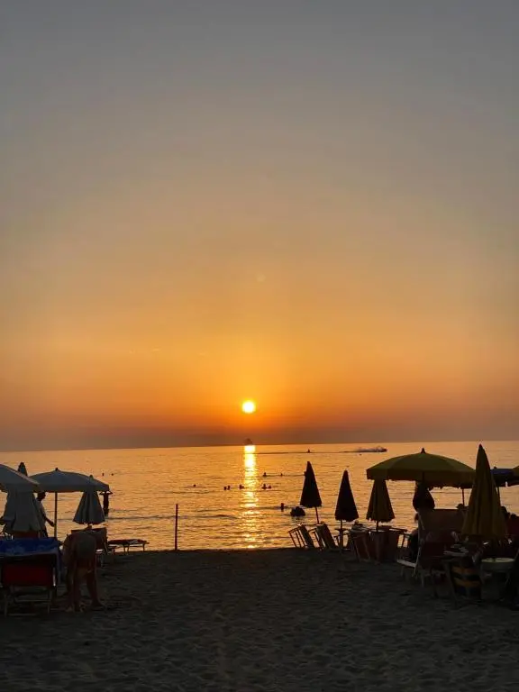 img_id_976273.webp