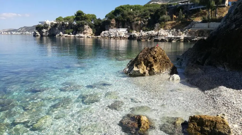 img_id_1649656.webp