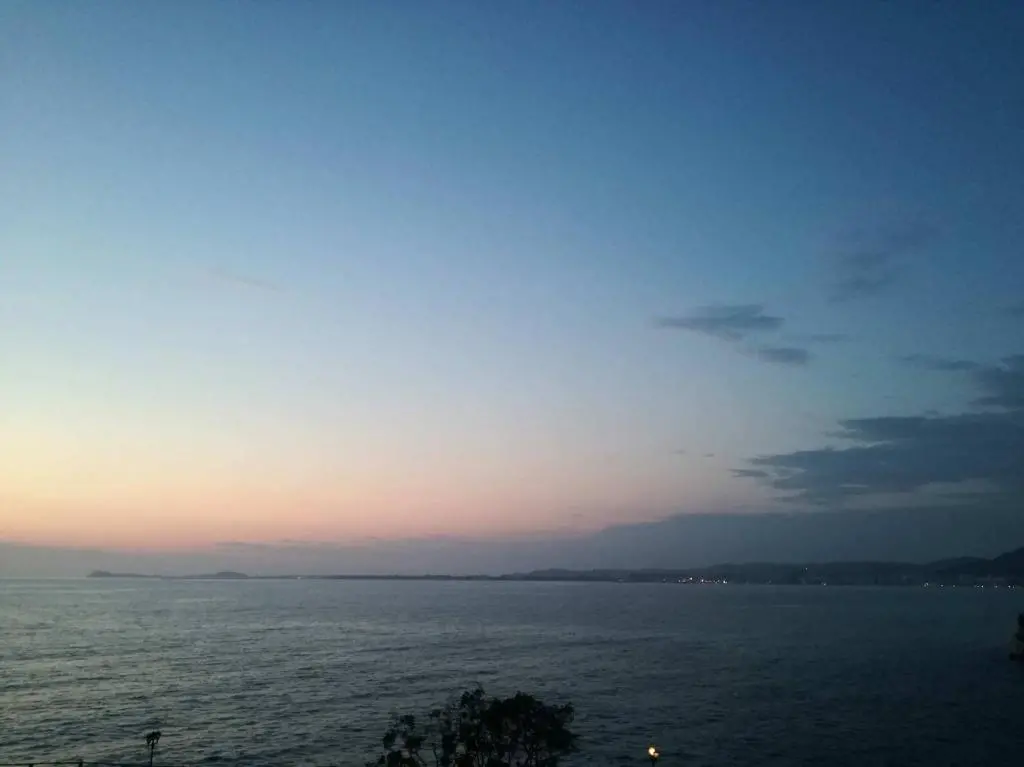 img_id_1649665.webp