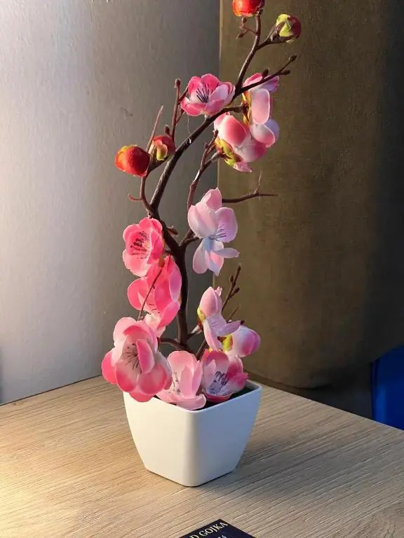 img_id_1697660.webp