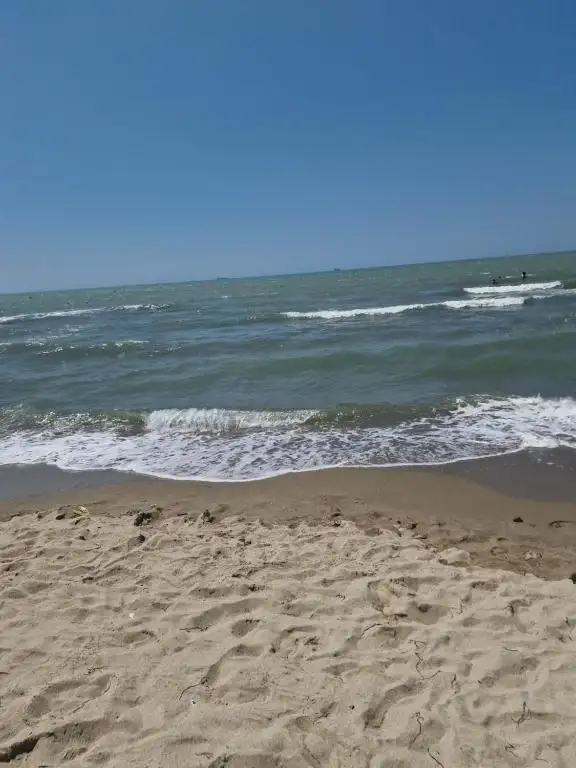 img_id_601203.webp