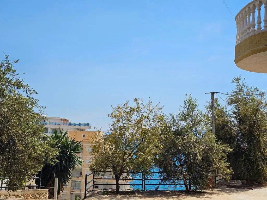 img_id_1451602.webp